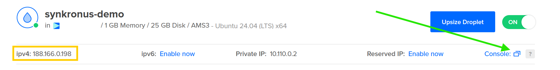 DigitalOcean droplet with IPv4 address